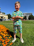 Summer Boys Set Dino Days (T-shirt and shorts)